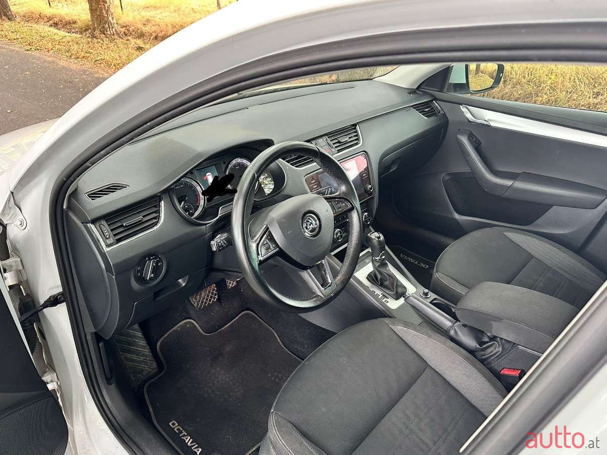 2017' Skoda Octavia photo #6