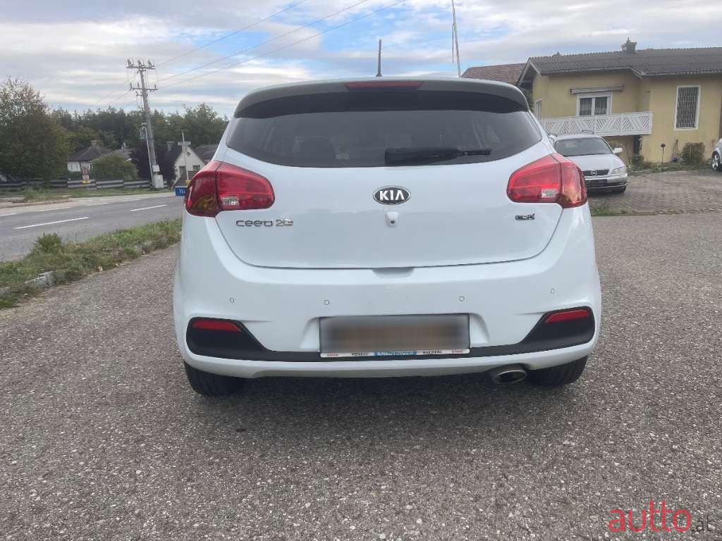 2015' Kia Ceed photo #6
