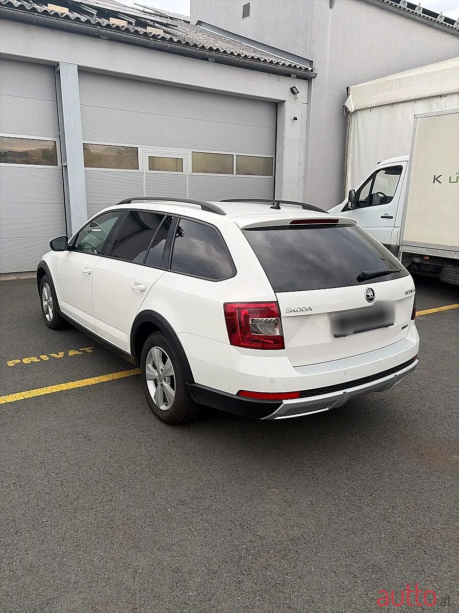 2017' Skoda Octavia photo #6
