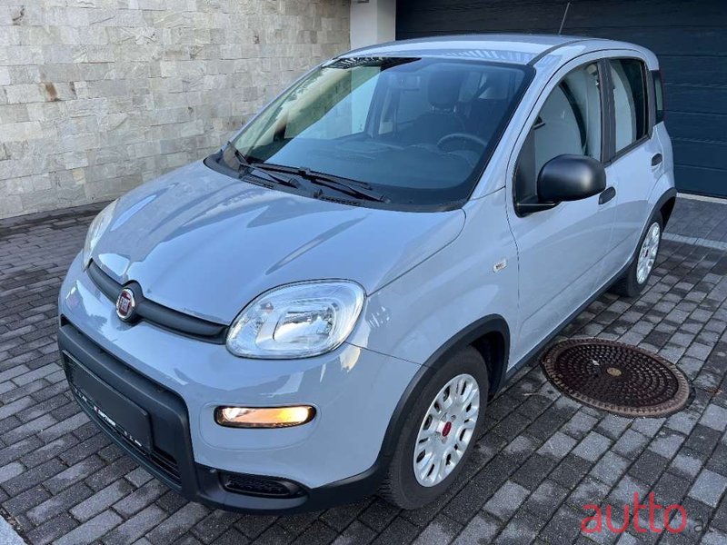 2023' Fiat Panda photo #6