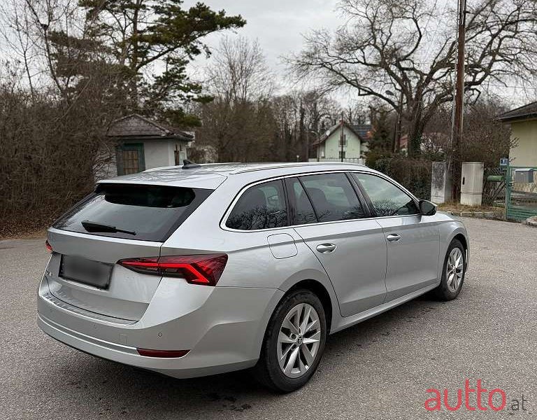 2023' Skoda Octavia photo #5